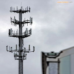 通信塔與鋼結構支架 質優價廉的專業制造廠家